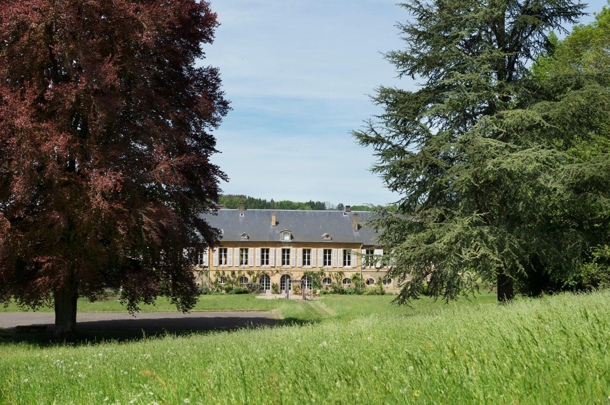 Chateau De Martigny Colmey Kültér fotó